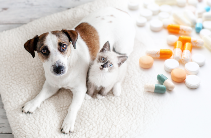Farmacoterapia de las patologías más frecuentes en animales de compañía (3ª edición)